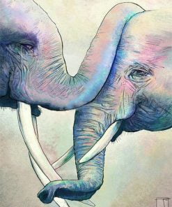 Elephants Greeting Animals Paint By Numbers