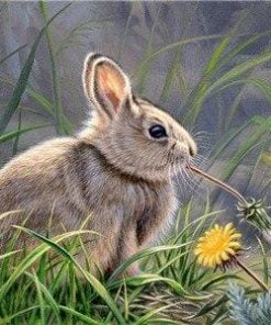 Lovely Bunny Paint By Numbers