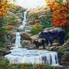 Black Bears Falls Paint By Numbers