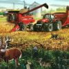 Harvest Scene Paint By Numbers