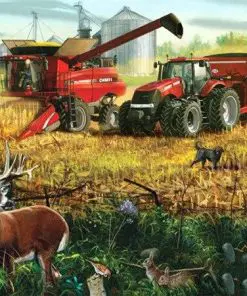 Harvest Scene Paint By Numbers