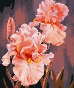 Pink Irises Paint By Numbers
