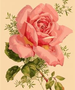 Blooming Pink Flower Paint By Numbers