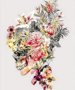 Floral Skull Paint By Numbers