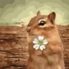 Squirrel With Flower Paint By Numbers