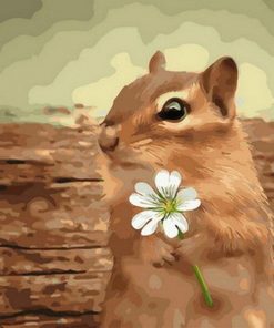 Squirrel With Flower Paint By Numbers