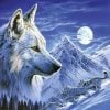 Full moon wolf paint by numbers