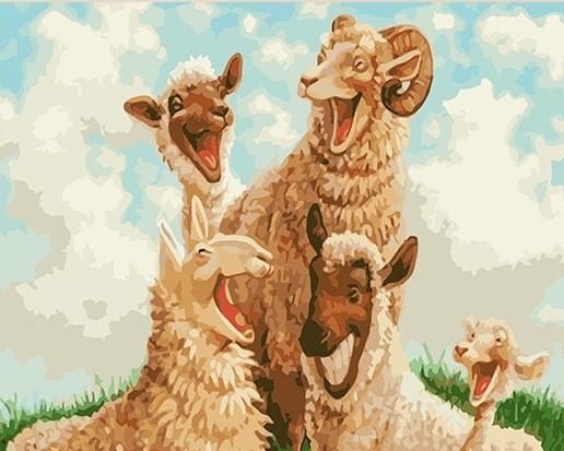 Funny Sheep - Animals Paint By Number - Numeral Paint