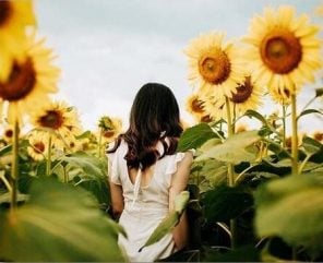 Girl In Sunflower Field paint by numbers