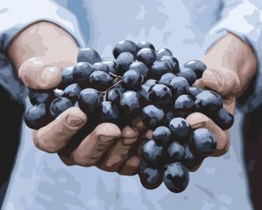 Grapes in The Hand paint by numbers