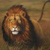 Grassland Beast Lion paint by numbers