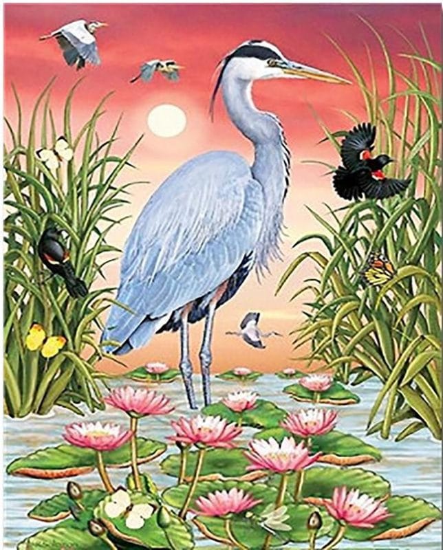 Great Blue Heron Paint By Numbers Numeral Paint Kit
