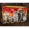 Group of Owls paint by numbers