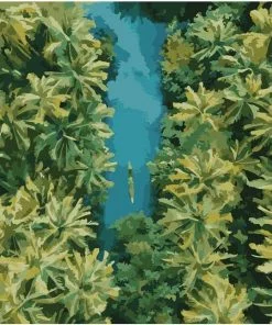 Coconut Trees Paint By Numbers