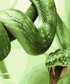 Cobra Snake Paint By Numbers