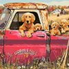 Dogs In Trucks Animals Paint By Numbers