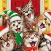 Funny Christmas Cats Paint By Numbers