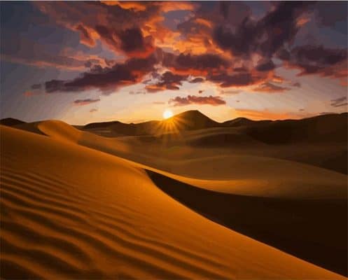 Sunset In The Desert Paint By Numbers - Numeral Paint Kit