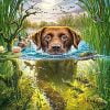 Dog Swimming Paint By Numbers