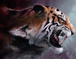 Angry Tiger Paint By Numbers