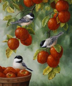 Apple Tree And Birds Paint By Numbers