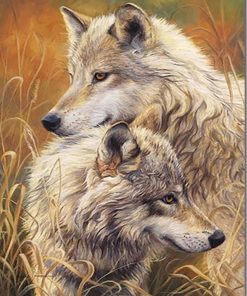 Wolves Couple Paint By Numbers
