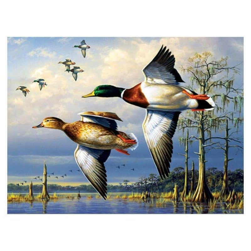 Flying Mallard Ducks Paint By Numbers Numeral Paint Kit