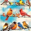 Birds On Wire Paint By Numbers