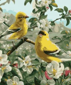 Goldfinch Birds Paint By Numbers