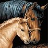 Horse And Foal Paint By Numbers