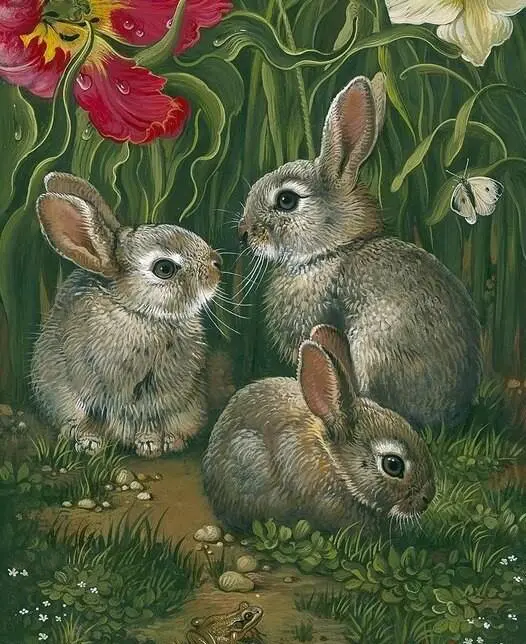 Three Grey Rabbits Paint By Numbers