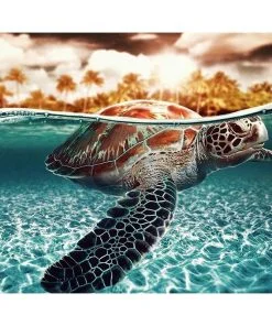 Sea Turtle Paint By Numbers