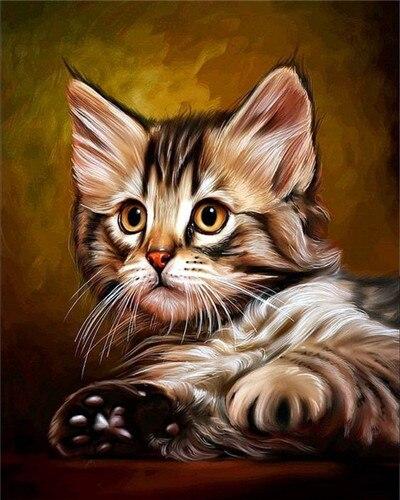 Colorful kitten - Paint by Numbers Kit for Adults DIY Oil Painting Kit on  Canvas
