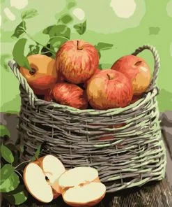 Red Apples Basket Paint By Numbers