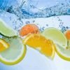 Citrus Fruits In Water Paint By Numbers