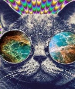 Trippy Cat Paint By Numbers