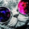 Cat With Galaxy Sunglasses Paint By Numbers