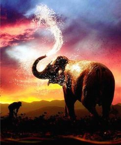 Elephant At Sunset Paint By Numbers