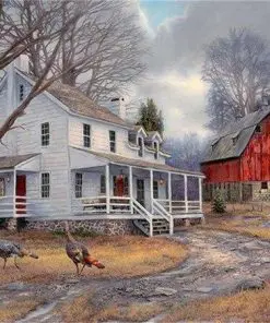 Farm House Paint By Numbers