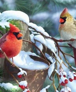 Snow Cardinals Paint By Numbers