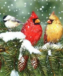Birds In Winter Paint By Numbers