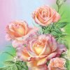 Spring Blooming Roses Paint By Numbers
