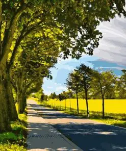 Sunny Road Paint By Numbers