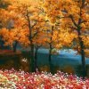 Autumn Trees On Lake Paint By Numbers