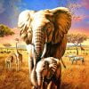 Elephant Mother And Baby Paint By Numbers