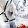 White Horse Paint By Numbers