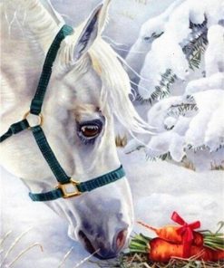 White Horse Paint By Numbers
