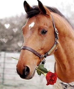 Horse And Rose Paint By Numbers