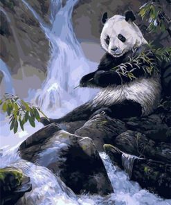 Panda In Waterfall Paint By Numbers