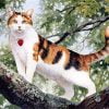 Cat On A Tree Paint By Numbers
